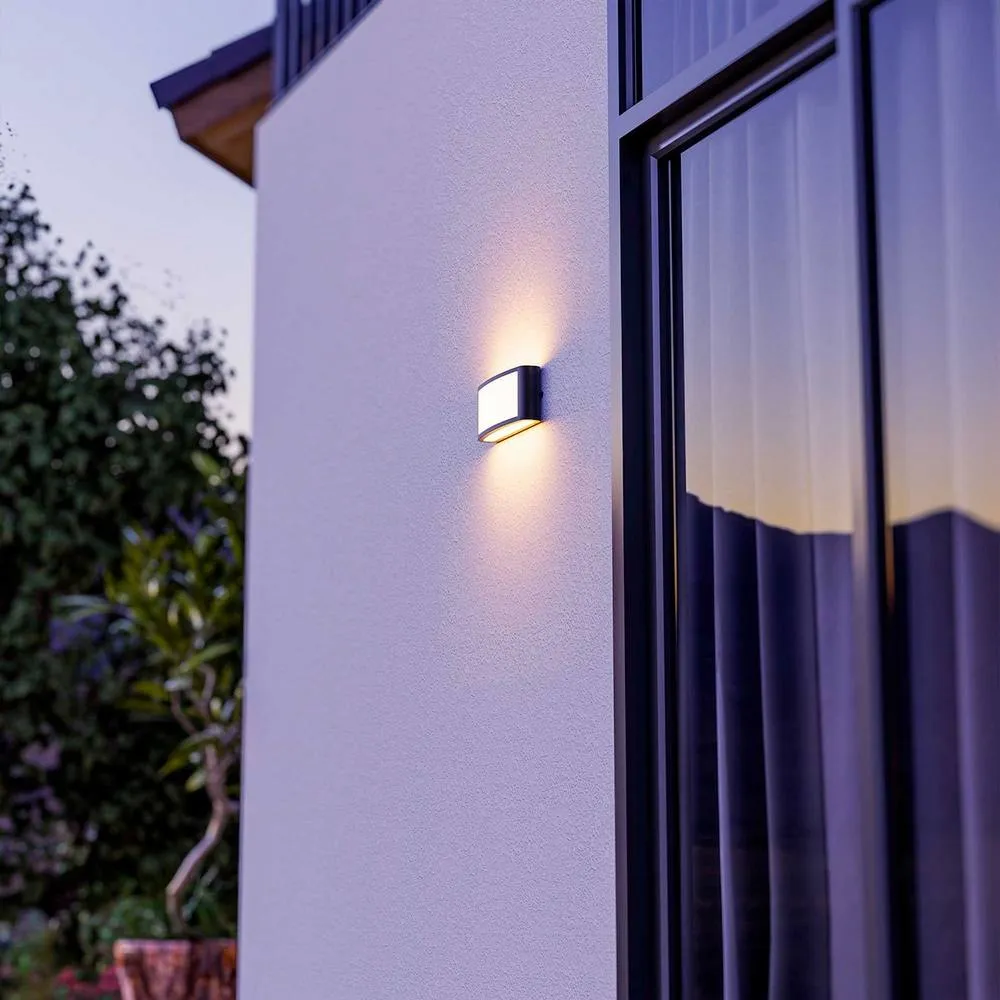 Netlighting Zenitha Diffuser Outdoor Flush Wall Lamp Black LED 12W IP54 On Off 2