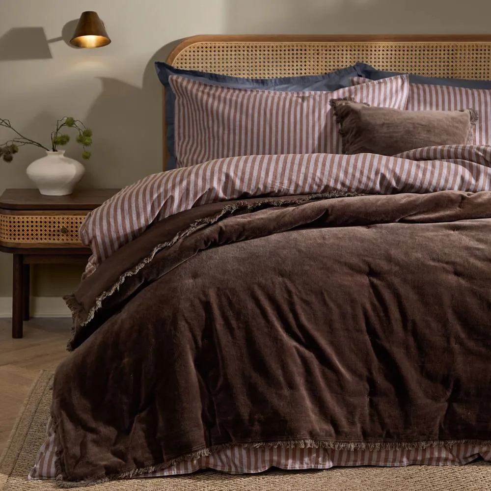 Yard Jaye Fringed Cotton Velvet Bedspread in Chocolate 1