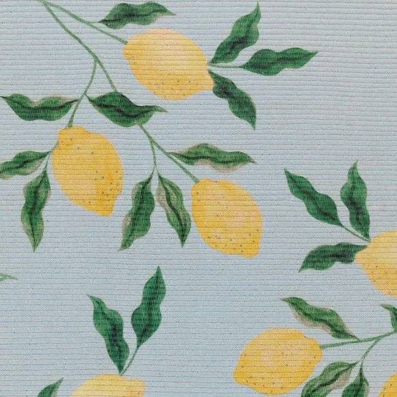 Furn. Lemons Indoor Outdoor Rug 2