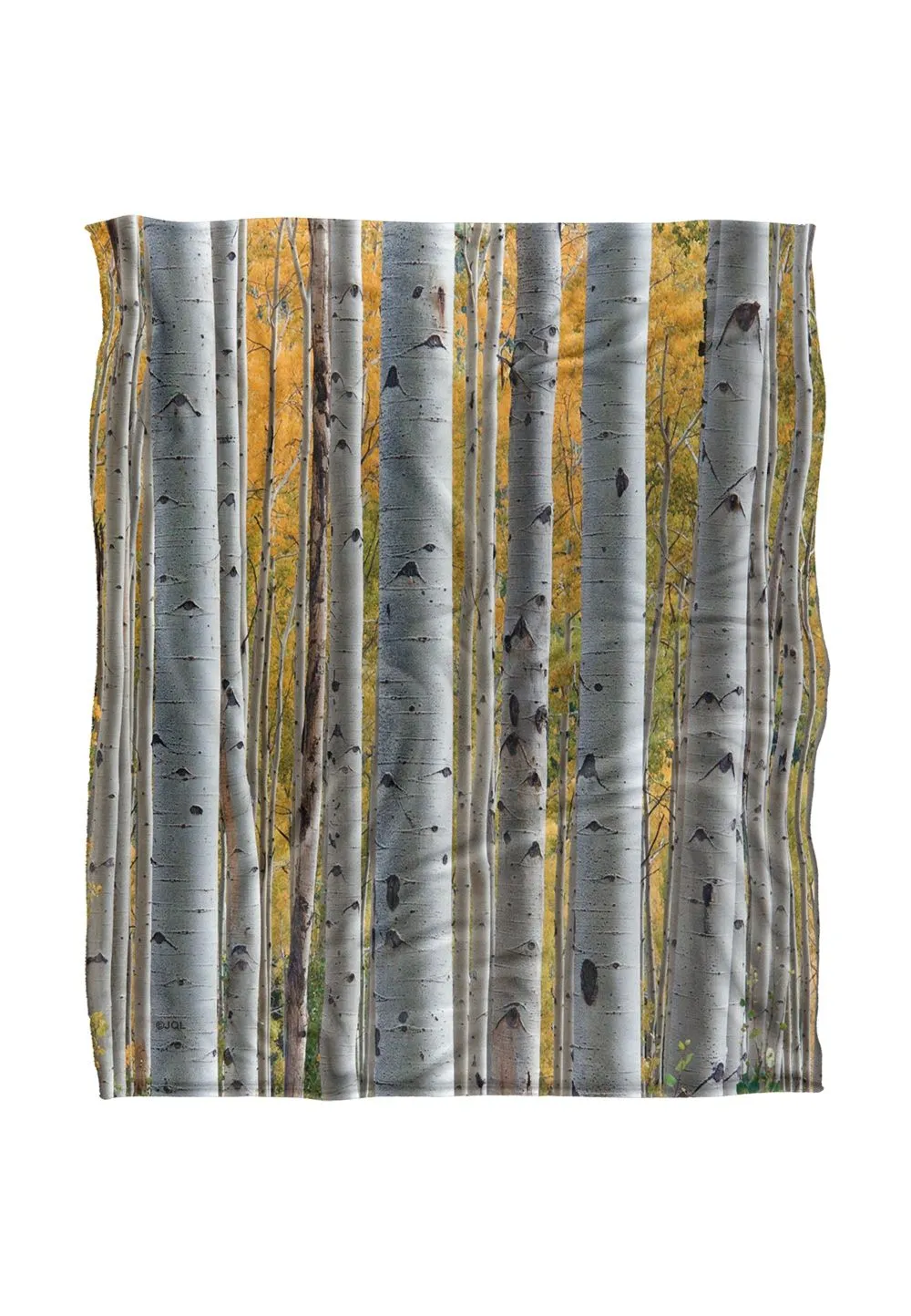 JQ Licensing James Piazza Birch Trees Silky Touch Super Soft Throw Blanket 152 X 127 cm in White