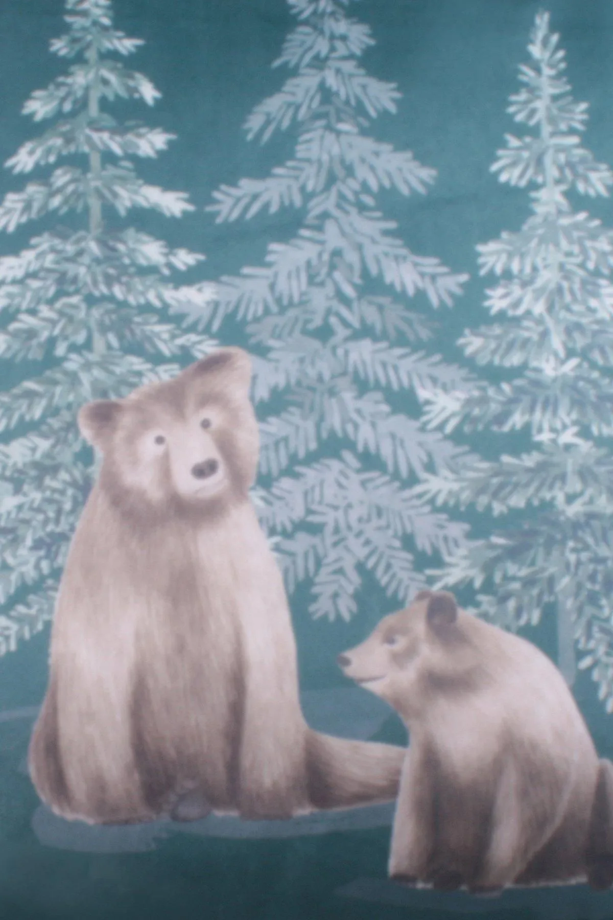 Dreams & Drapes 'Bear Walks' Luxe Velvet Filled Cushion in Teal 4