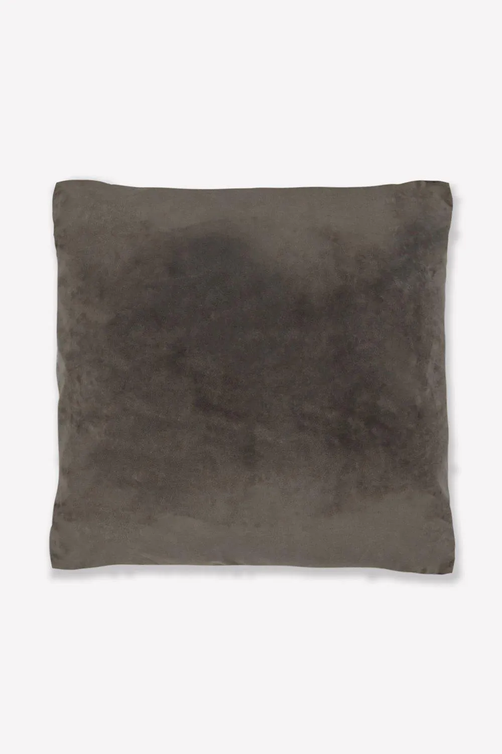 Velvet Cushion