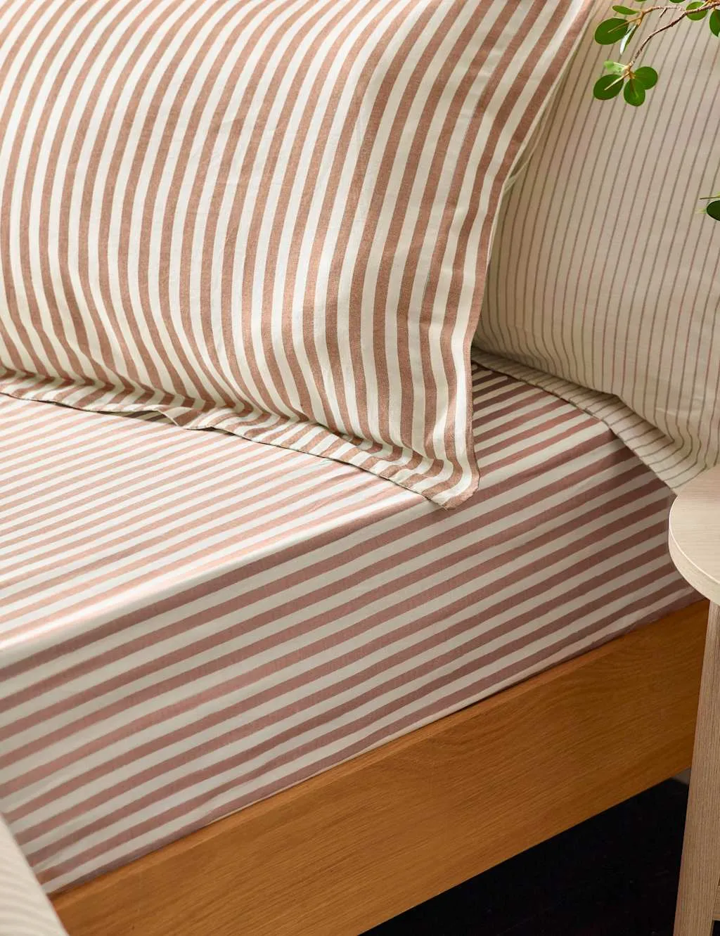 YARD Pure Cotton Striped Fitted Sheet Brown