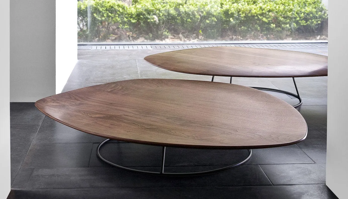 Ligne Roset Pebble Concave Low Table 2