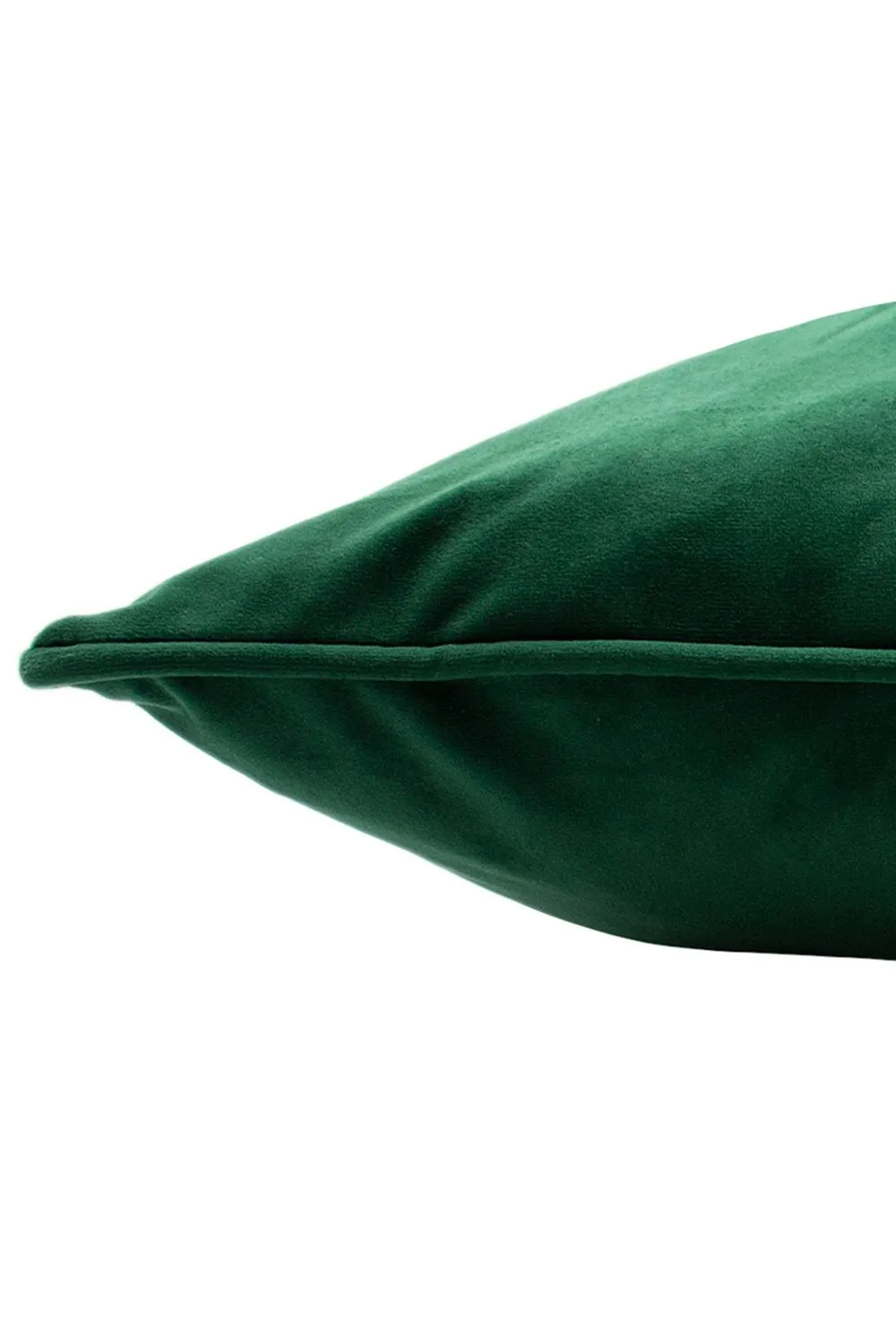 Paoletti Hortus Embroidered Bee Soft Velvet Pipe Trimmed Cushion in Emerald 4