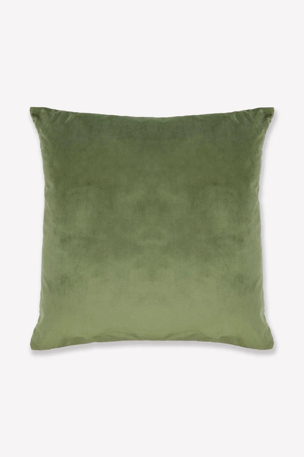 Velvet Cushion