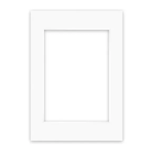 Nielsen Conservation White Picture Mount 1