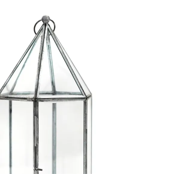 Glass House Terrarium 2