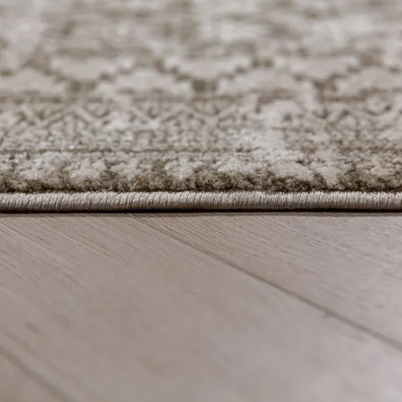 Talia Traditional Sheen Rug 4