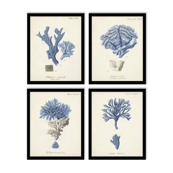 Set of 4 Antique Coral Framed Prints 2