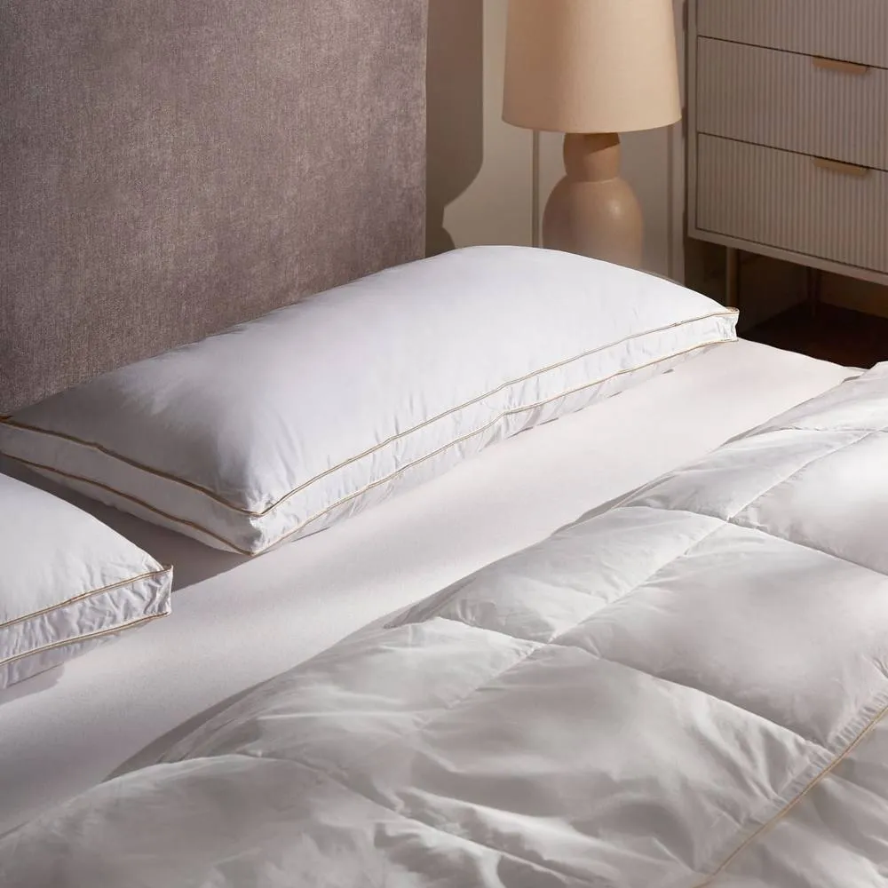 Wyld and Coco White Triple Compartment Down Pillow 40 x 80 cm Cotton Casing
