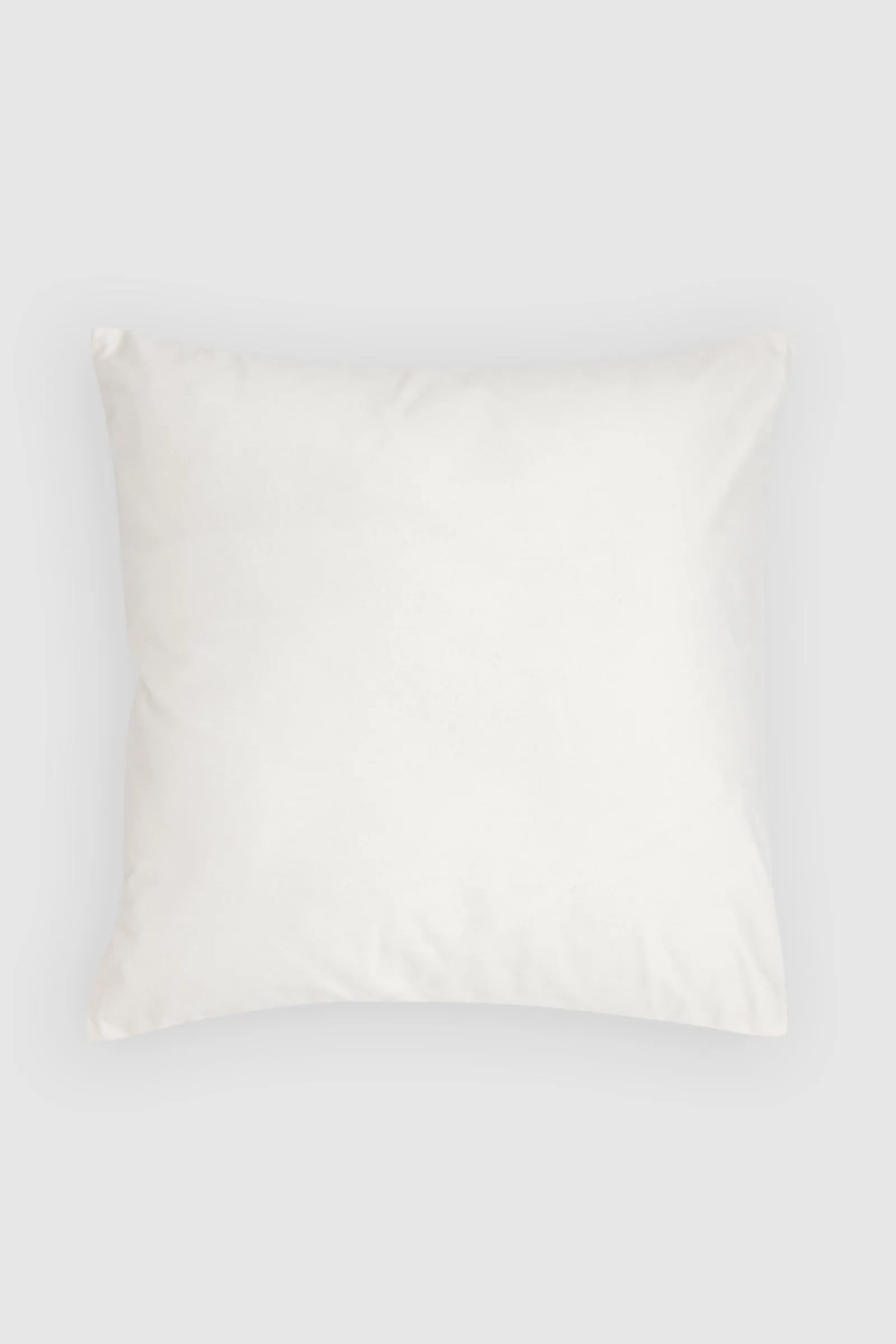 Velvet Cushion