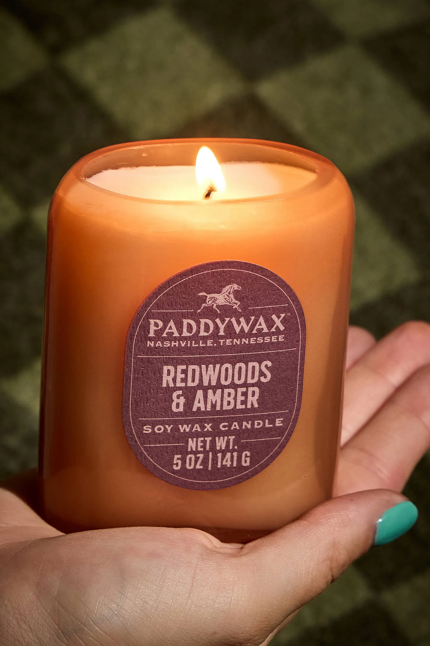 Paddywax Vista Redwoods & Amber Soy Wax 5oz Candle ALL 2