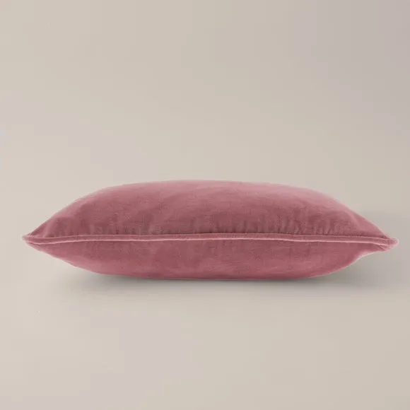 Clara Cotton Velvet Square Cushion 3