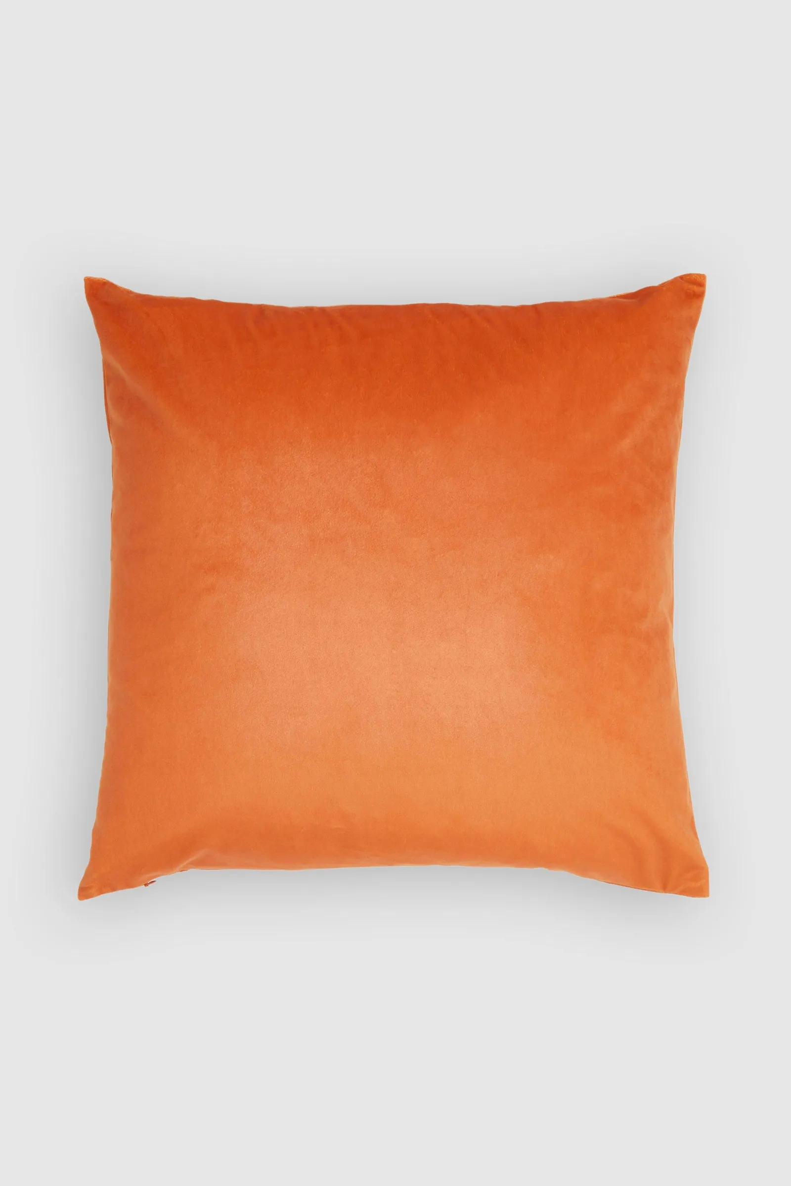 Velvet Cushion