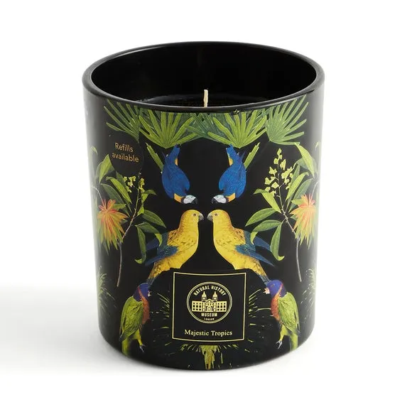 Majestic Tropics Birds Candle 3