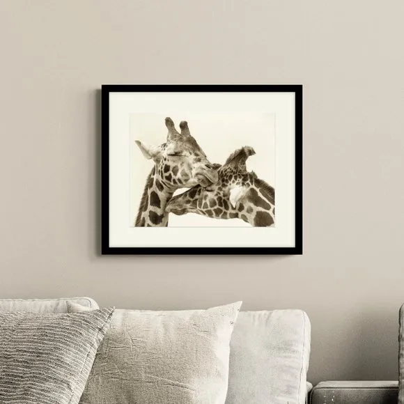 Artko In Love Giraffes Framed Print