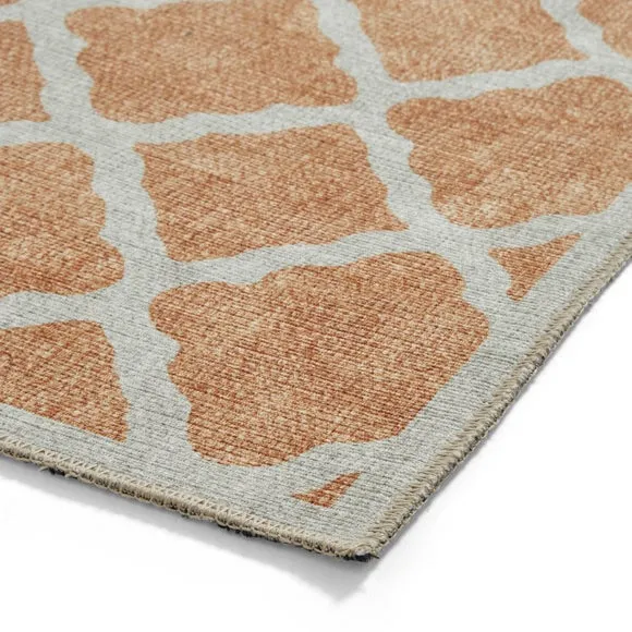 Coral H1063 Rug 6