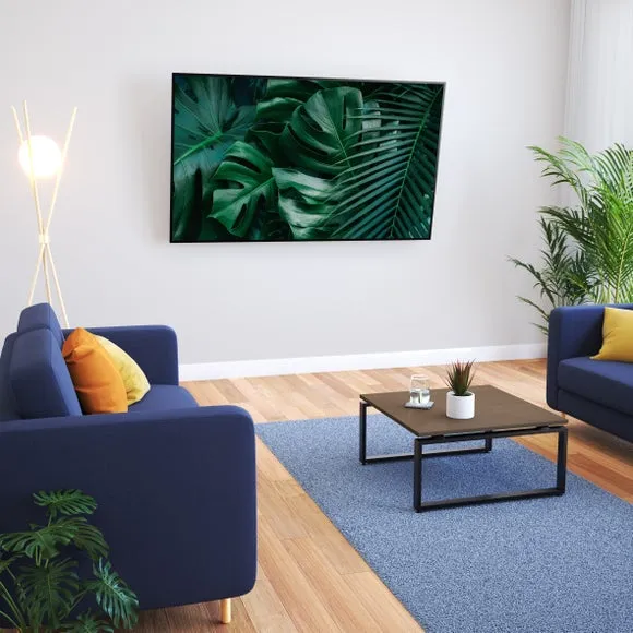 Tilting TV Mount 2