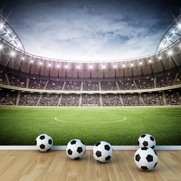 Football Stadium Wall Mural 1