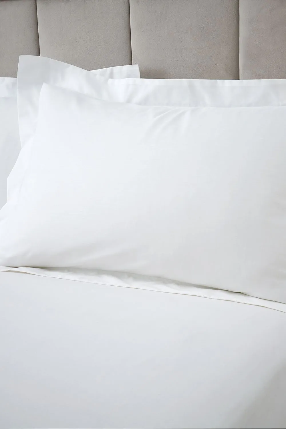 Bianca 180 Thread Count Egyptian Cotton Oxford Pillowcase in White 1