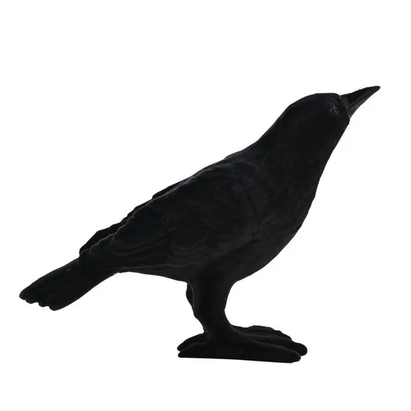 Hocus Pocus Novelties Flocked Crow 3