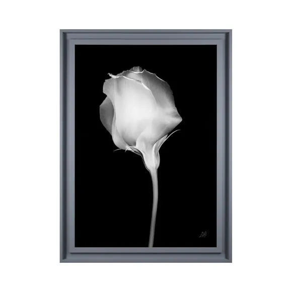 The Art Group Mono Floral I Framed Print 2