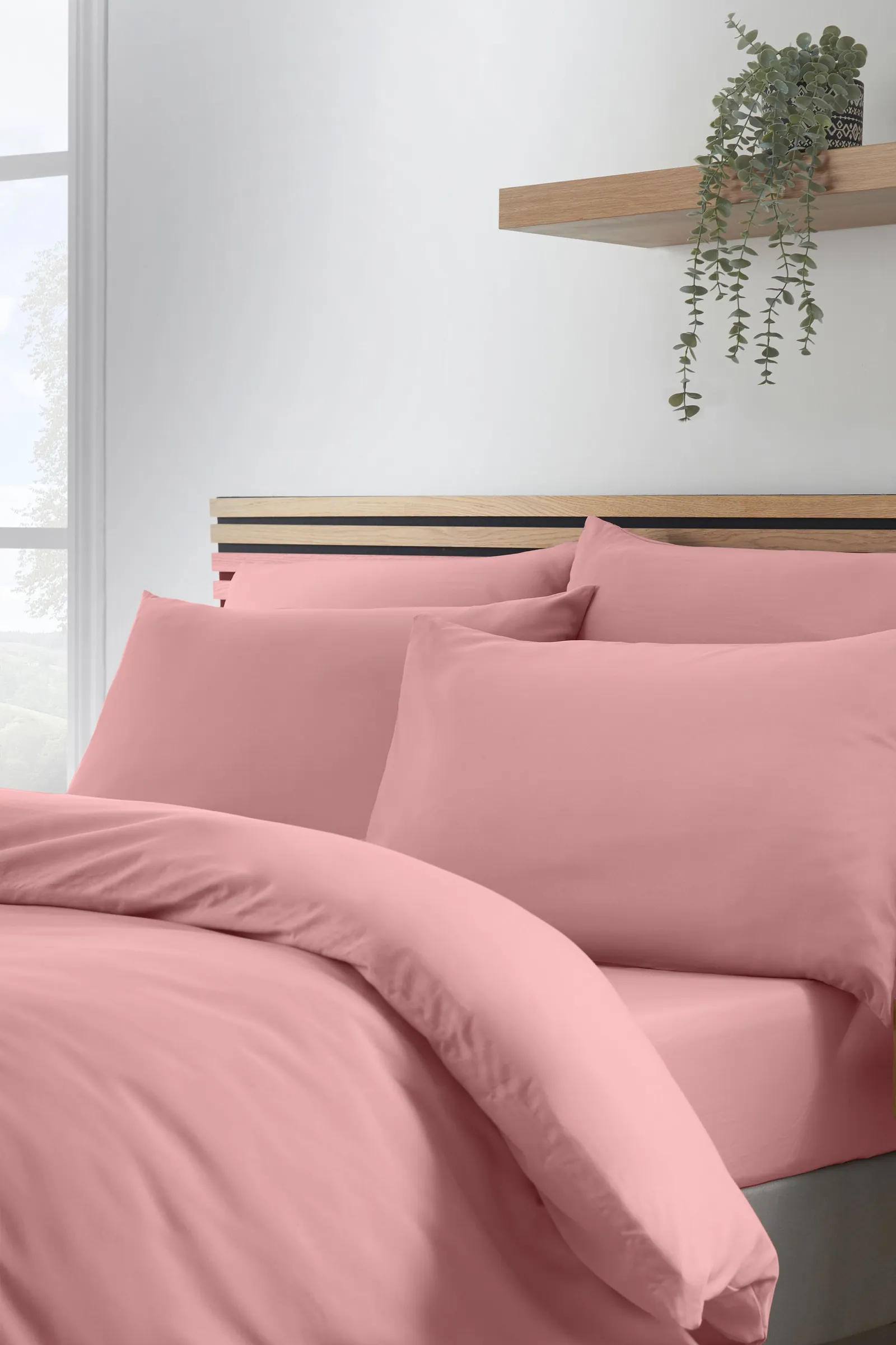 Catherine Lansfield So Soft Non Iron Duvet Cover Set in Coral 3