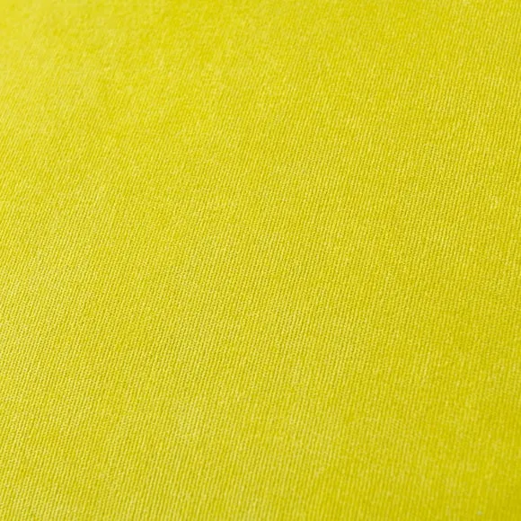 Velour Cushion 2