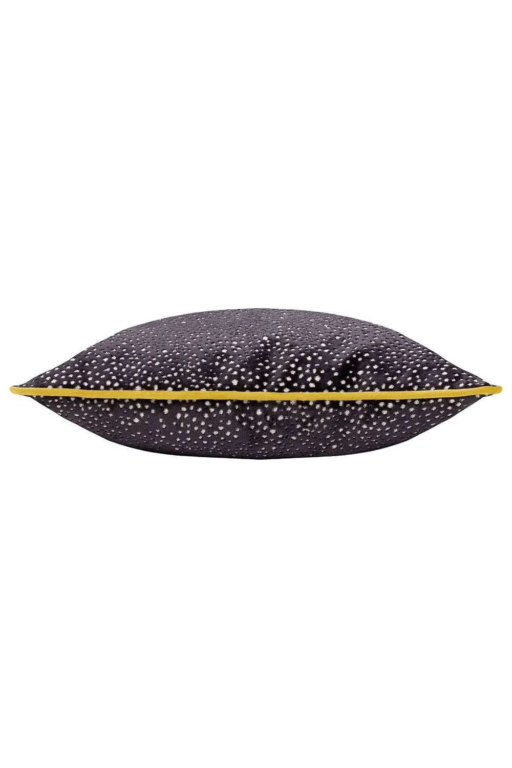 Paoletti Estelle Spotted Piped Cut Velvet Cushion in Black 2