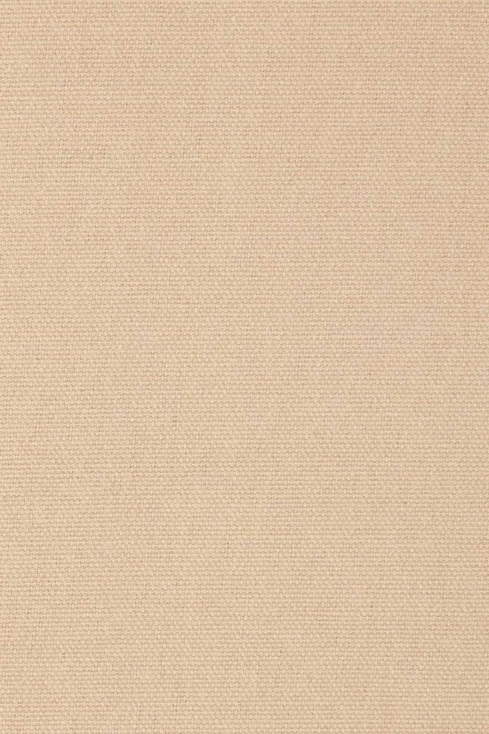 Homescapes Plain Cotton Ready Made Eyelet Curtain Pair in Beige 5