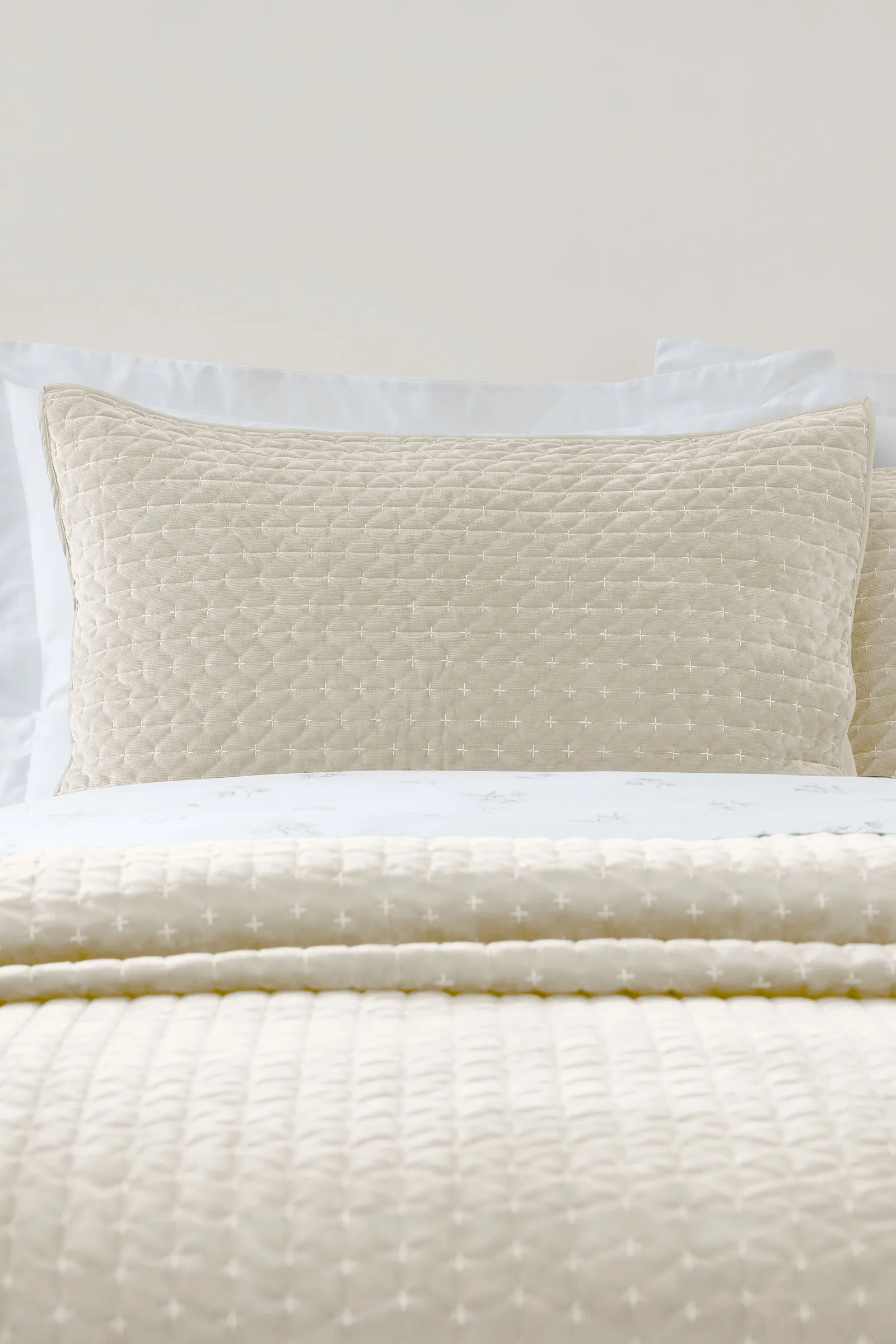 Bianca 'Attica Velvet' Embroidered Pillow sham Pair in Natural