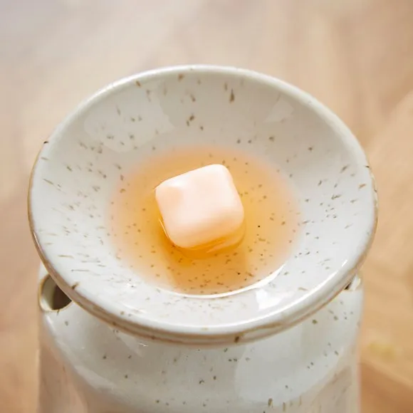 Set of 6 Mango and Orchid Wax Melts 2