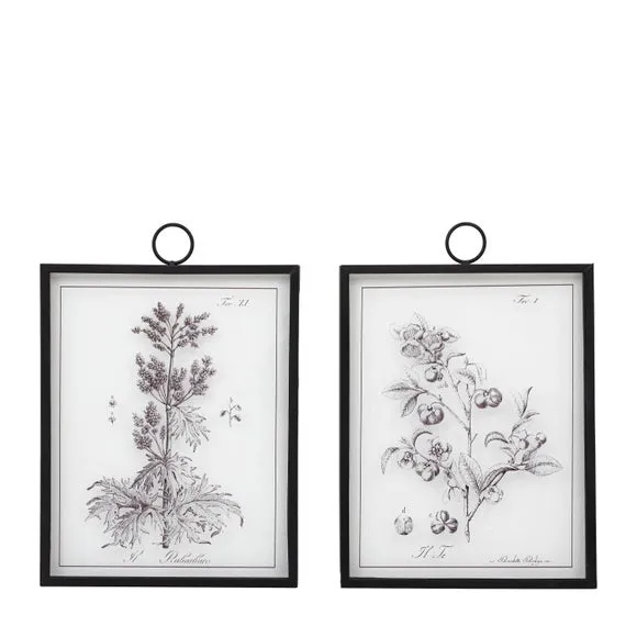 Cedar & Sage Set of 2 Petiole Framed Glass Wall Art 6
