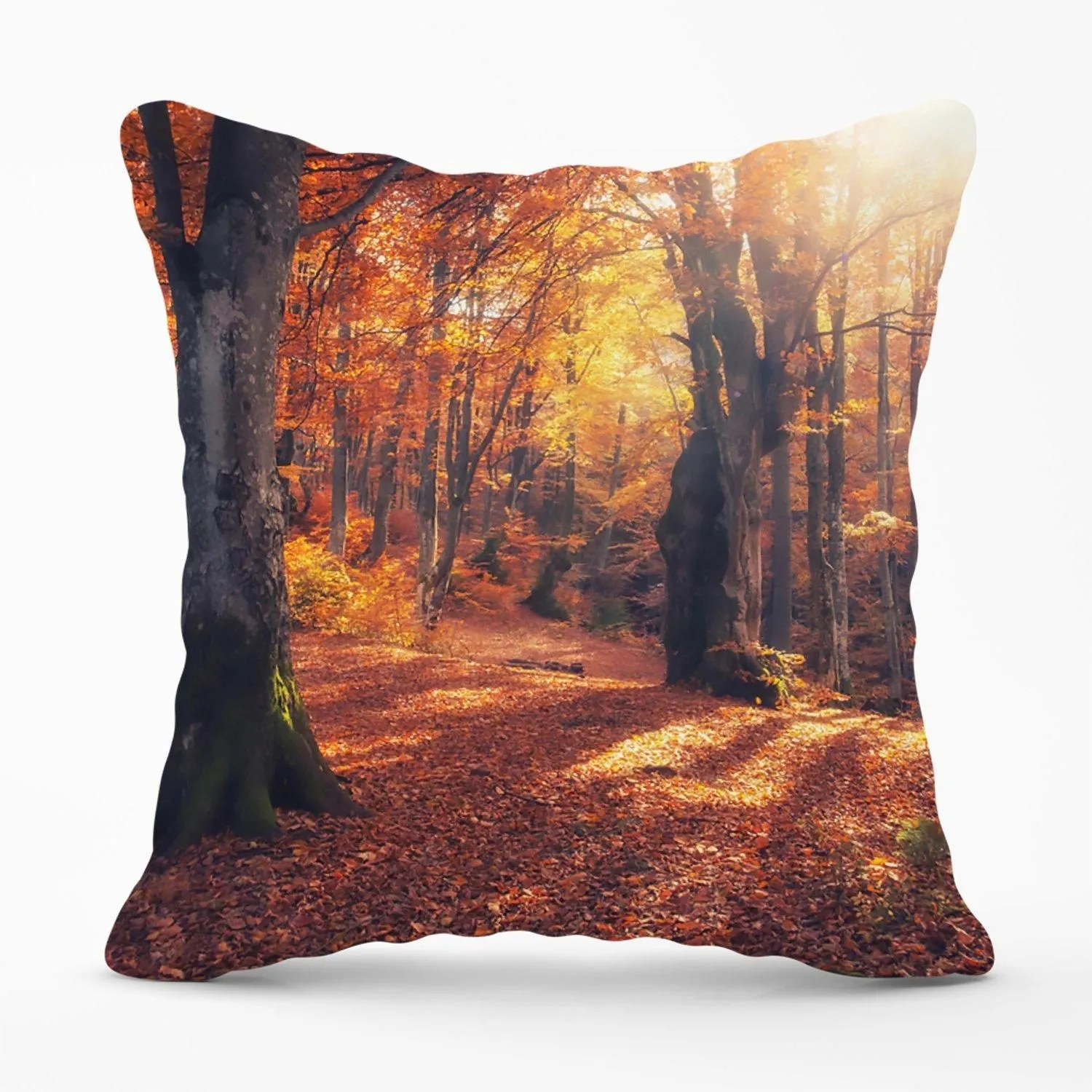 Warren Reed - Designer Autumn Forest Outdoor Cushion in Brown