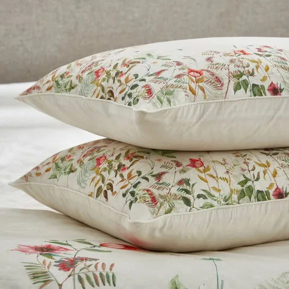 Dorma Rambling Rose Cream 100% Cotton Standard Pillowcase Pair 2