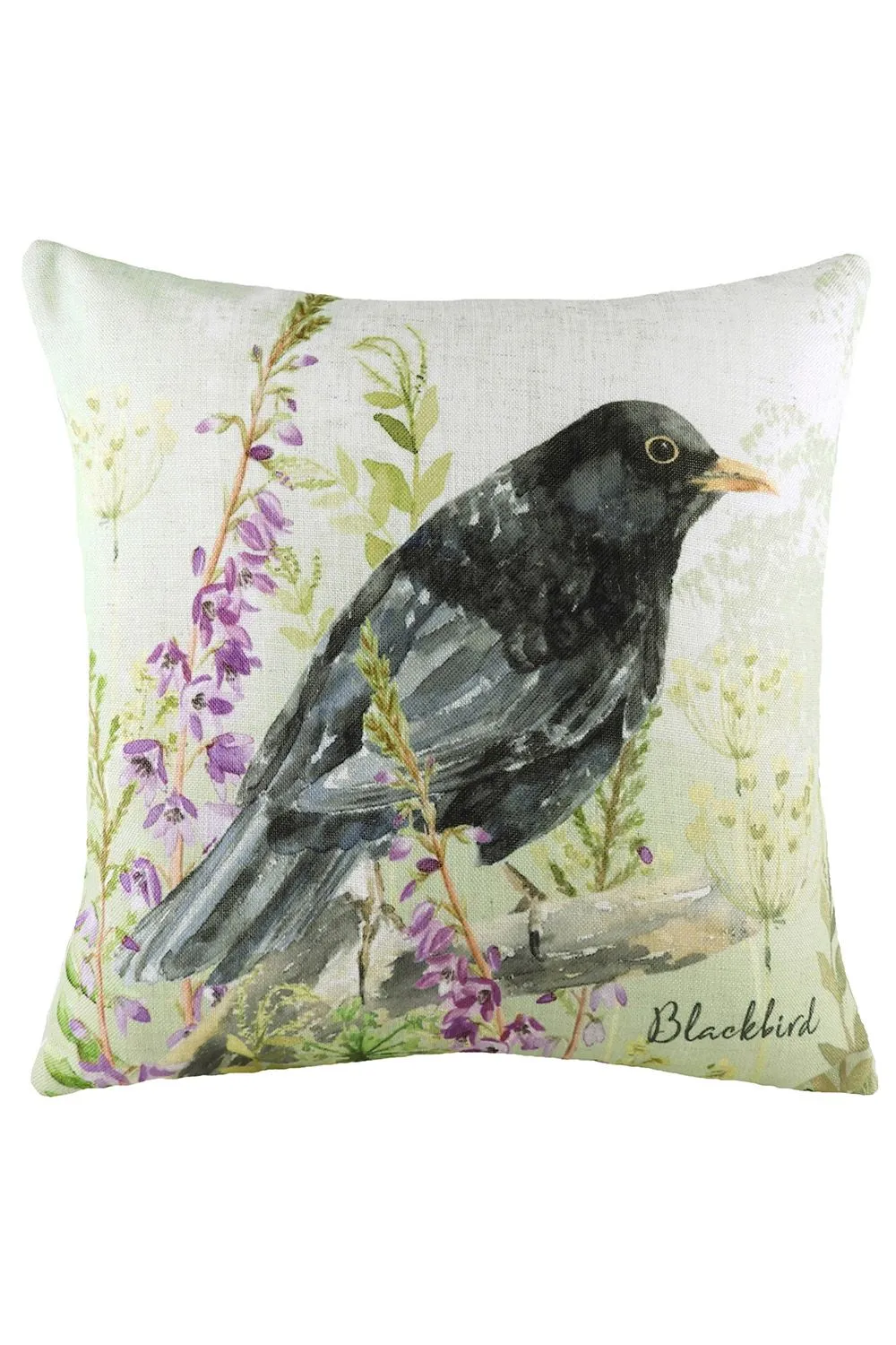 Evans Lichfield Blackbird Hand-Painted Watercolour Printed Cushion