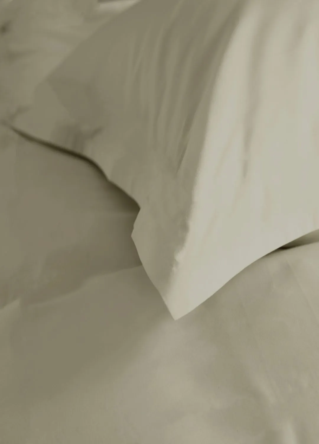 The Lyndon Company 800 Thread Count Prosecco Cotton Oxford Pillowcase | Deyongs 1846 in White