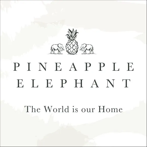 Pineapple Elephant Tamba Jersey Stripe Duvet Cover and Pillowcase Set 6