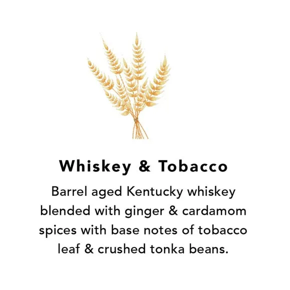 Northern Lights Whiskey & Tobacco Wax Melts 2