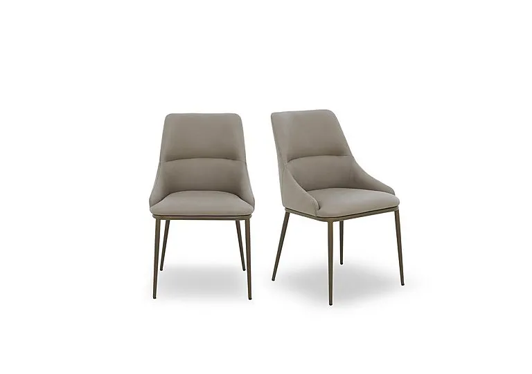 Camino Pair of Dining Chairs