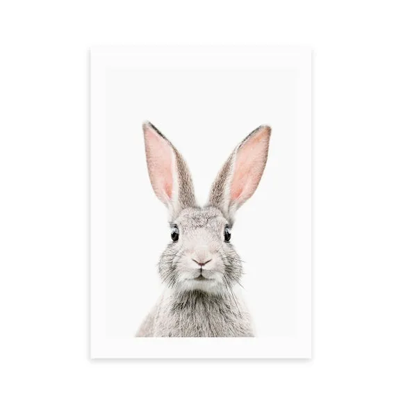 East End Prints Baby Bunny Print 2
