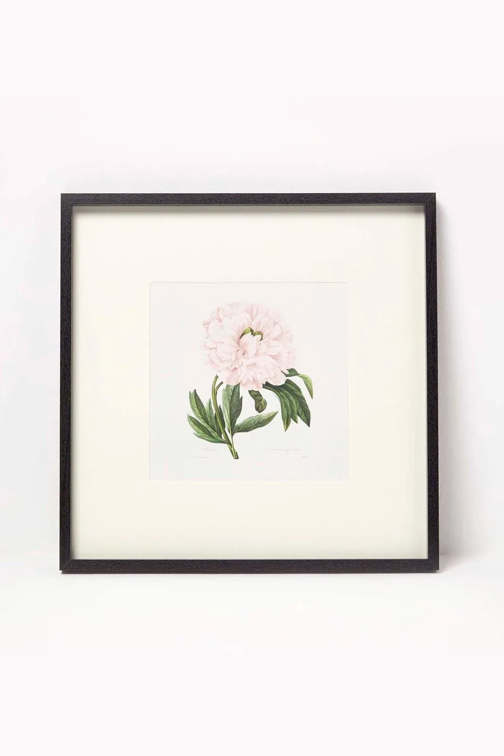Homescapes Wall Decoration Set of 3 Frames with Picture, Peonies 3