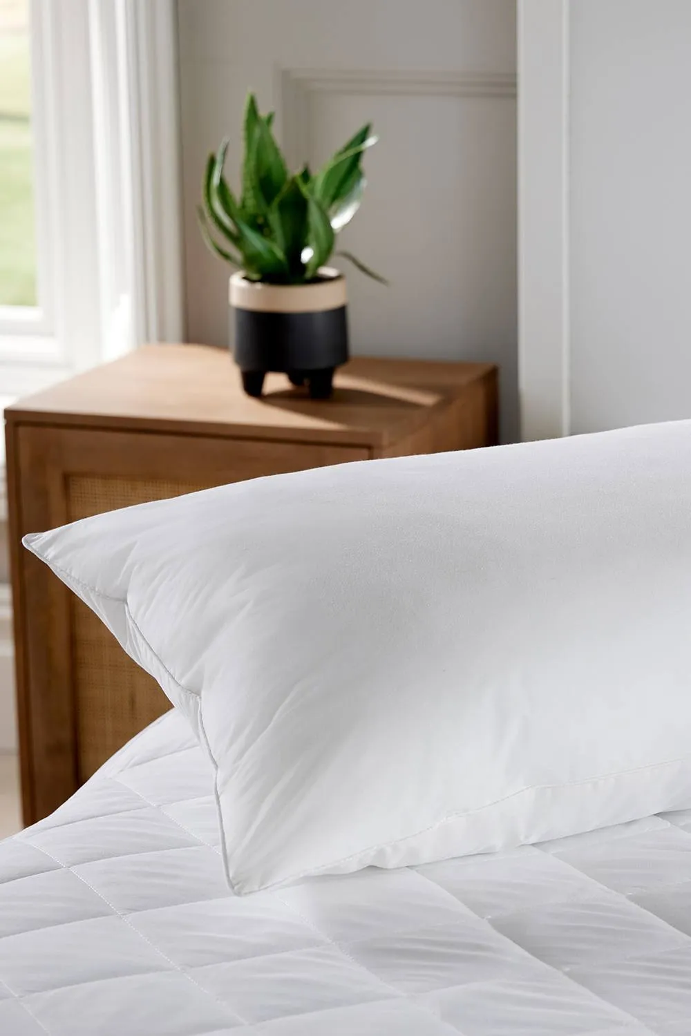 CHRISTY Classic Filled Hollowfibre Medium Firm King Pillow in White 4