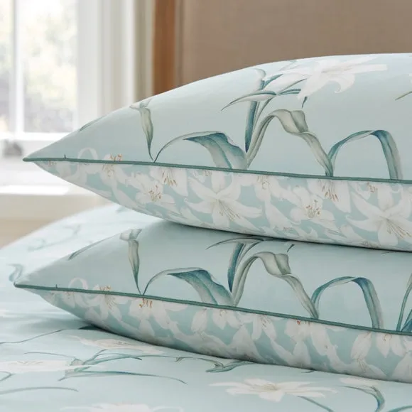 Dorma Wildmere 100% Cotton Pillowcase Pair 2