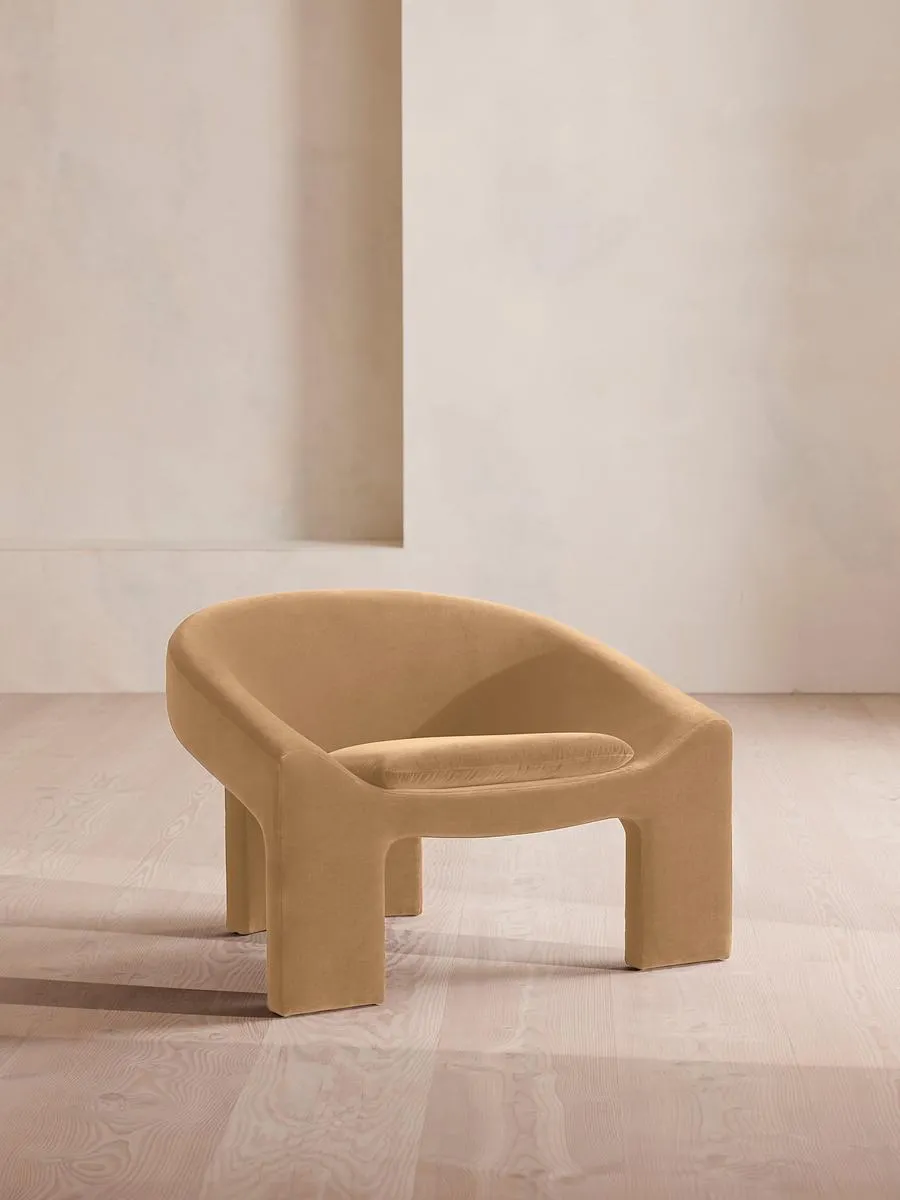 Dafne Armchair, Velvet, Camel