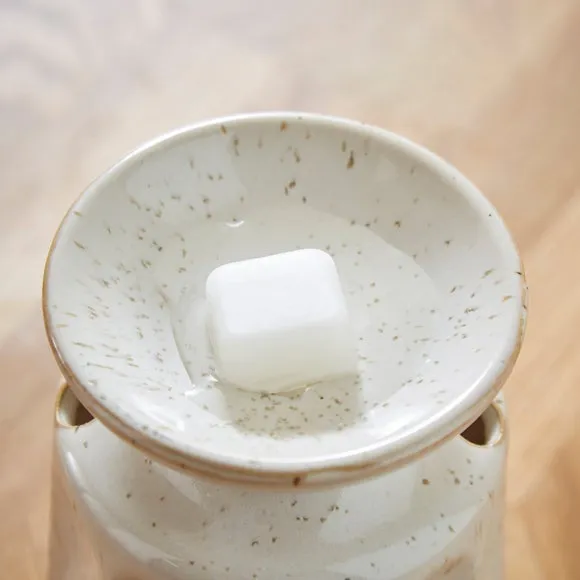 Set of 6 Vanilla and Sandalwood Wax Melts 2