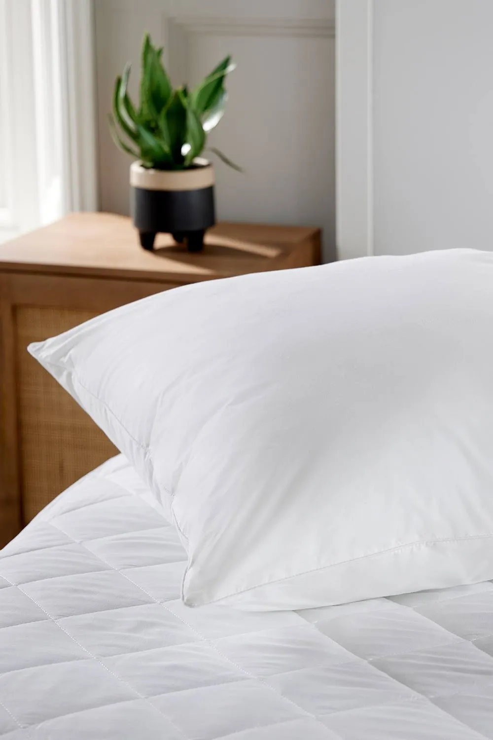CHRISTY Classic Filled Hollowfibre Soft Medium Square Pillow in White 4