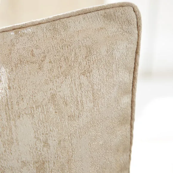 Richmond Champagne Cushion 3
