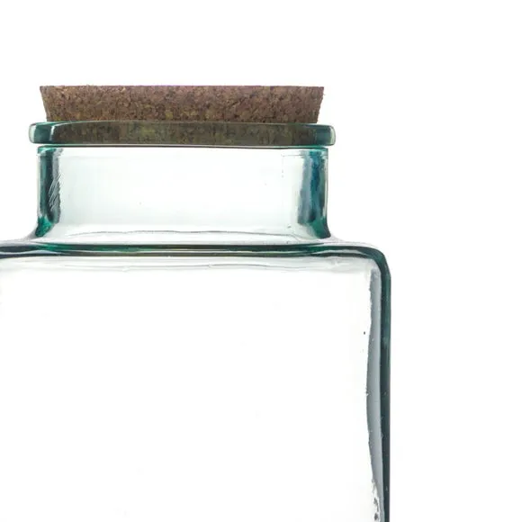 Bottle Shape Large Terrarium DIY Kit 4
